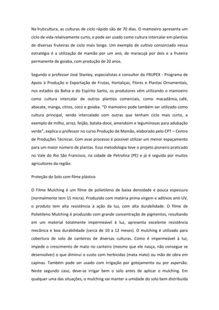 Na fruticultura, as culturas de ciclo rápido são de 70 dias. O mamoeiro apresenta um
ciclo de vida relativamente curto, e pode ser usado como cultura intercalar em plantios
de diversas fruteiras de ciclo mais longo. Um exemplo de cultivo consorciado nessa
estratégia é a utilização de mamão por um ano, de maracujá por dois e a fruteira
permanente de goiaba, com produção de 20 anos.
Segundo o professor José Stanley, especialistas e consultor do FRUPEX - Programa de
Apoio à Produção e Exportação de Frutas, Hortaliças, Flores e Plantas Ornamentais,
nos estados da Bahia e do Espírito Santo, os produtores vêm utilizando o mamoeiro
como cultura intercalar de outros plantios comerciais, como macadâmia, café,
abacate, manga, citros, coco e goiaba. “O mamoeiro pode também ser utilizado como
cultura principal, sendo intercalado com outras que tenham ciclo mais curto, a
exemplo de milho, arroz, feijão, batata-doce, amendoim e leguminosas para adubação
verde”, explica o professor no curso Produção de Mamão, elaborado pelo CPT – Centro
de Produções Técnicas. Com esse processo é possível utilizar um menor espaçamento
para um maior número de plantas. Essa metodologia teve o projeto pioneiro praticado
no Vale do Rio São Francisco, na cidade de Petrolina (PE) e já é seguida por muitos
agricultores da região.
Proteção do Solo com filme plástico
O Filme Mulching é um filme de polietileno de baixa densidade e pouca espessura
(normalmente tem 15 micra). Produzido com matéria prima virgem e aditivos anti-UV,
o produto tem alta resistência à ação da luz, com alta durabilidade. O filme de
Polietileno Mulching é produzido com grande concentração de pigmentos, resultando
em um material totalmente impermeável à luz, apresenta excelente resistência
mecânica e boa durabilidade (cerca de 10 a 12 meses). O mulching é utilizado para
cobertura de solo de canteiros de diversas culturas. Como é impermeável à luz,
impede o crescimento de mato no canteiro (mesmo que ele nasça, não consegue se
desenvolver) o que diminui o custo com herbicidas (mata mato) ou mão de obra em
capinas. Também pode ser usado com irrigação por gotejamento ou por aspersão.
Neste segundo caso, deve-se irrigar bem o solo antes de aplicar o mulching. Em
qualquer uma das situações, o mulching vai manter a umidade do solo bem distribuída
 