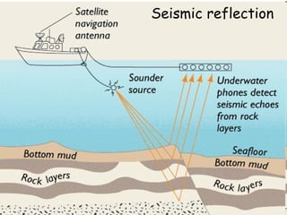 Seismic reflection 