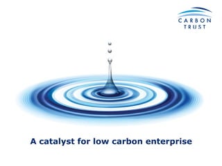 A catalyst for low carbon enterprise
 