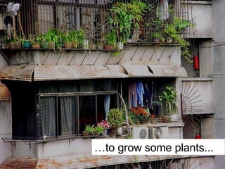 … to grow some plants... 