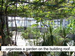 … organises a garden on the building roof... 