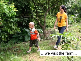 … we visit the farm... 