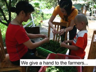 We give a hand to the farmers... 