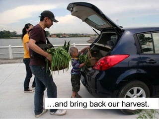 … and bring back our harvest. 