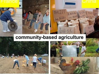 France China community-based agriculture 