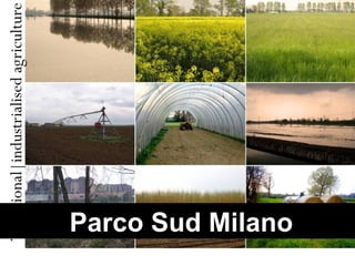 Parco Sud Milano  Parco Sud Milano  