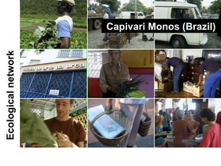 Ecological network Capivari Monos (Brazil)  
