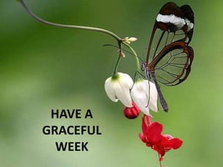 HAVE A
GRACEFUL
WEEK
 