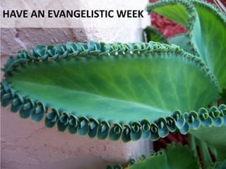 HAVE AN EVANGELISTIC WEEK
 