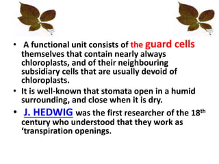• A functional unit consists of the guard cells
themselves that contain nearly always
chloroplasts, and of their neighbouring
subsidiary cells that are usually devoid of
chloroplasts.
• It is well-known that stomata open in a humid
surrounding, and close when it is dry.
• J. HEDWIG was the first researcher of the 18th
century who understood that they work as
‘transpiration openings.
 