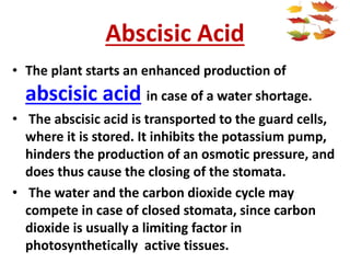 Abscisic Acid
• The plant starts an enhanced production of
abscisic acid in case of a water shortage.
• The abscisic acid is transported to the guard cells,
where it is stored. It inhibits the potassium pump,
hinders the production of an osmotic pressure, and
does thus cause the closing of the stomata.
• The water and the carbon dioxide cycle may
compete in case of closed stomata, since carbon
dioxide is usually a limiting factor in
photosynthetically active tissues.
 