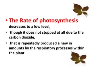 • The Rate of photosynthesis
decreases to a low level,
• though it does not stopped at all due to the
carbon dioxide,
• that is repeatedly produced a new in
amounts by the respiratory processes within
the plant.
 