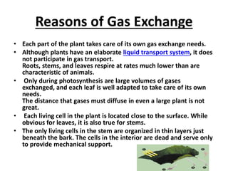 Reasons of Gas Exchange
• Each part of the plant takes care of its own gas exchange needs.
• Although plants have an elaborate liquid transport system, it does
not participate in gas transport.
Roots, stems, and leaves respire at rates much lower than are
characteristic of animals.
• Only during photosynthesis are large volumes of gases
exchanged, and each leaf is well adapted to take care of its own
needs.
The distance that gases must diffuse in even a large plant is not
great.
• Each living cell in the plant is located close to the surface. While
obvious for leaves, it is also true for stems.
• The only living cells in the stem are organized in thin layers just
beneath the bark. The cells in the interior are dead and serve only
to provide mechanical support.
 