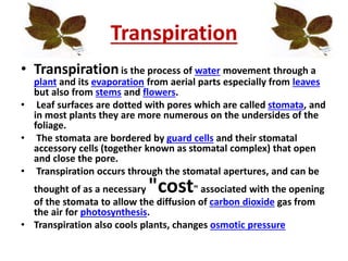 Transpiration
• Transpirationis the process of water movement through a
plant and its evaporation from aerial parts especially from leaves
but also from stems and flowers.
• Leaf surfaces are dotted with pores which are called stomata, and
in most plants they are more numerous on the undersides of the
foliage.
• The stomata are bordered by guard cells and their stomatal
accessory cells (together known as stomatal complex) that open
and close the pore.
• Transpiration occurs through the stomatal apertures, and can be
thought of as a necessary "cost" associated with the opening
of the stomata to allow the diffusion of carbon dioxide gas from
the air for photosynthesis.
• Transpiration also cools plants, changes osmotic pressure
 