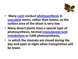 • Many cacti conduct photosynthesis in
succulent stems, rather than leaves, so the
surface area of the shoot is very low.
• Many desert plants have a special type of
photosynthesis, termed crassulacean acid
metabolism or CAM photosynthesis,
• in which the stomata are closed during the
day and open at night when transpiration will
be lower.
 