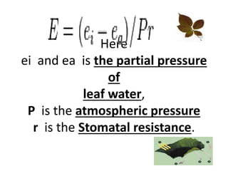 Here
ei and ea is the partial pressure
of
leaf water,
P is the atmospheric pressure
r is the Stomatal resistance.
 