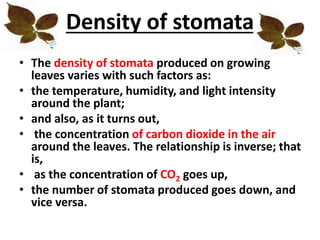 Density of stomata
• The density of stomata produced on growing
leaves varies with such factors as:
• the temperature, humidity, and light intensity
around the plant;
• and also, as it turns out,
• the concentration of carbon dioxide in the air
around the leaves. The relationship is inverse; that
is,
• as the concentration of CO2 goes up,
• the number of stomata produced goes down, and
vice versa.
 