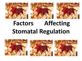 Factors Affecting
Stomatal Regulation
 