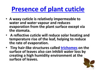 Presence of plant cuticle
• A waxy cuticle is relatively impermeable to
water and water vapour and reduces
evaporation from the plant surface except via
the stomata.
• A reflective cuticle will reduce solar heating and
temperature rise of the leaf, helping to reduce
the rate of evaporation.
• Tiny hair-like structures called trichomes on the
surface of leaves also can inhibit water loss by
creating a high humidity environment at the
surface of leaves.
 