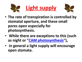 Light supply
• The rate of transpiration is controlled by
stomatal aperture, and these small
pores open especially for
photosynthesis.
• While there are exceptions to this (such
as night or "CAM photosynthesis"),
• in general a light supply will encourage
open stomata.
 