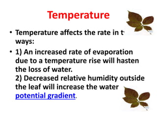 Temperature
• Temperature affects the rate in two
ways:
• 1) An increased rate of evaporation
due to a temperature rise will hasten
the loss of water.
2) Decreased relative humidity outside
the leaf will increase the water
potential gradient.
 