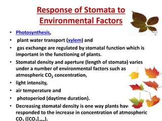 Response of Stomata to
Environmental Factors
• Photosynthesis,
• plant water transport (xylem) and
• gas exchange are regulated by stomatal function which is
important in the functioning of plants.
• Stomatal density and aperture (length of stomata) varies
under a number of environmental factors such as
atmospheric CO2 concentration,
• light intensity,
• air temperature and
• photoperiod (daytime duration).
• Decreasing stomatal density is one way plants have
responded to the increase in concentration of atmospheric
CO ([CO ] ).
 
