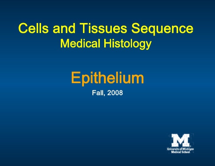 09.08.08: Epithelium