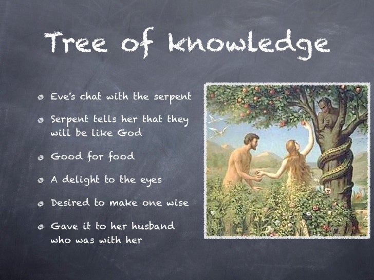 09.08.2010 genesis 34