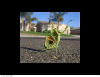 Kalila & Dimna Story @ Institute for Cultural Research 28/3/09