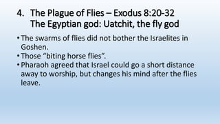 4. The Plague of Flies – Exodus 8:20-32
The Egyptian god: Uatchit, the fly god
•The swarms of flies did not bother the Israelites in
Goshen.
•Those “biting horse flies”.
•Pharaoh agreed that Israel could go a short distance
away to worship, but changes his mind after the flies
leave.
 