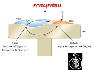 การผุกร่อน 