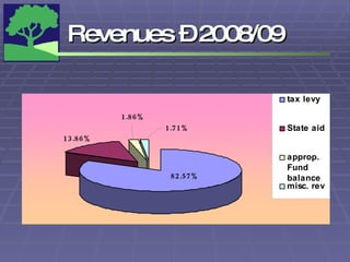 Revenues – 2008/09 