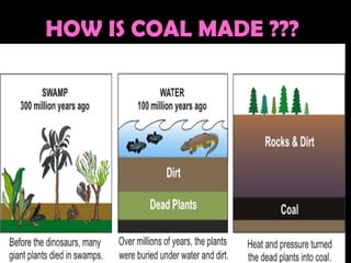 HOW IS COAL MADE ??? 