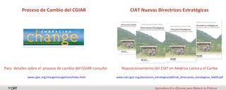 Disponibilidad, accessibilidad y aplicabilidad de los resultados de investigación de los Centros del Grupo Consultivo para la Investigación Agrícola Internacional (CGIAR)