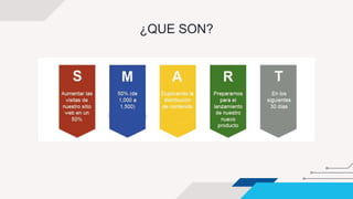 ¿QUE SON?
 