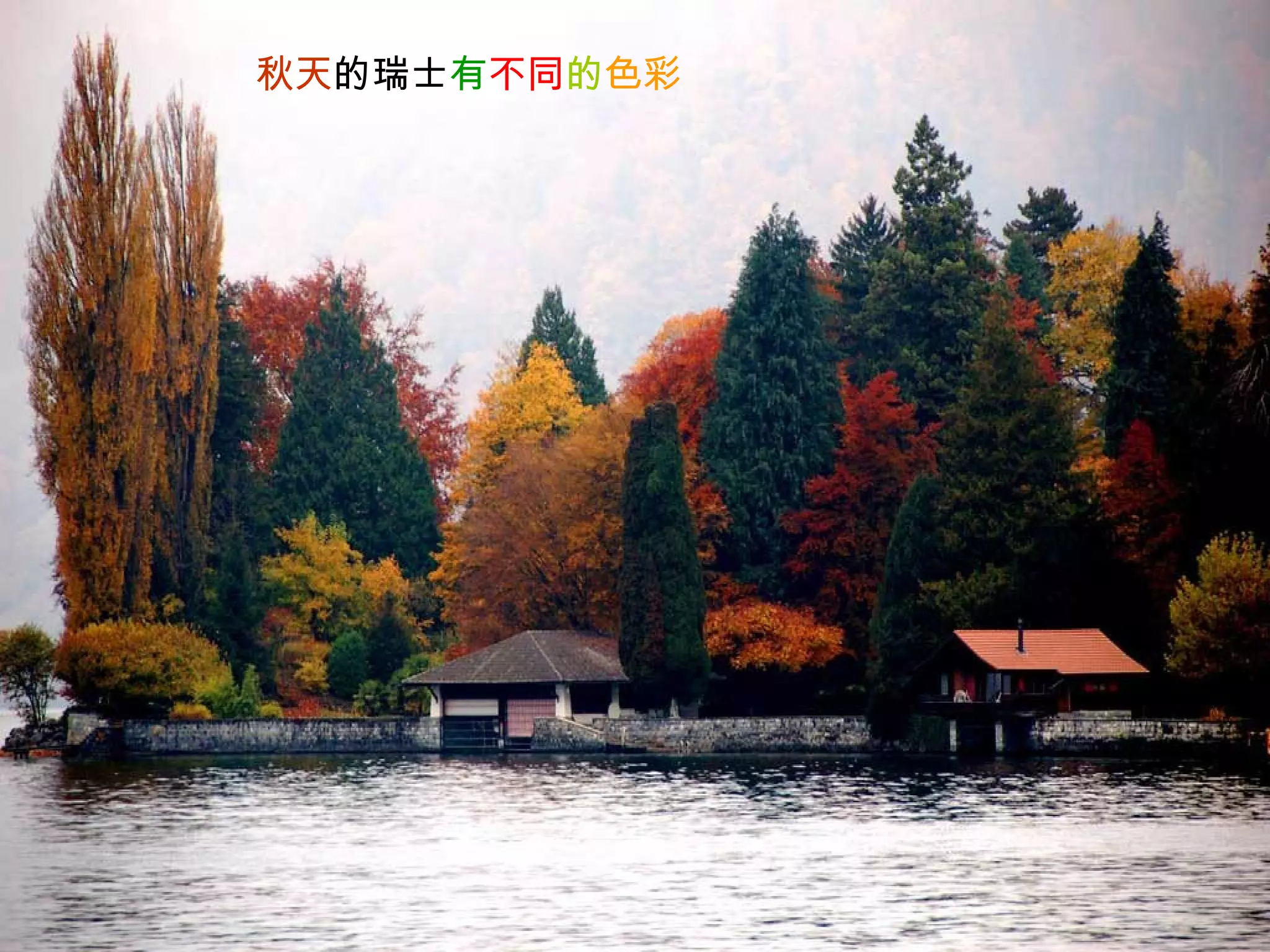 秋天 的瑞士 有 不同 的 色彩 