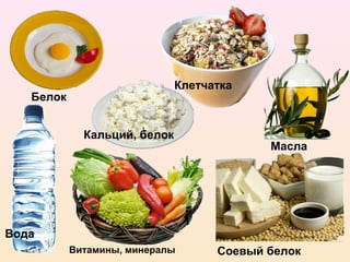 Клетчатка
   Белок


             Кальций, белок
                                           Масла




Вода
           Витамины, минералы       Соевый белок
 