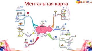 Ментальная карта
 