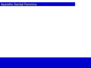 Aparelho Genital FemininoAparelho Genital Feminino
 