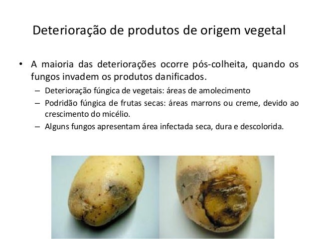 09. deterioração microbiana de alimentos