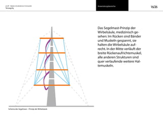 on/off – Objekte mit kalkuliertem Formwandel
Tensegrity 16/26
Das Segelmast-Prinzip der
Wirbelsäule, medizinisch ge-
sehen: Im Rücken sind Bänder
und Muskeln gespannt, sie
halten die Wirbelsäule auf-
recht. In der Mitte verläuft der
breite Rückenaufrichtemuskel,
alle anderen Strukturen sind
quer verlaufende weitere Hal-
temuskeln.
Schema des Segelmast—Prinzip der Wirbelsäule
Anwendungsbereiche
 