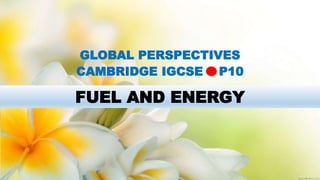 FUEL AND ENERGY
GLOBAL PERSPECTIVES
CAMBRIDGE IGCSE P10
 