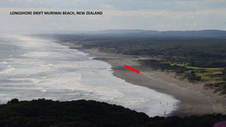 LONGSHORE DRIFT MURIWAI BEACH, NEW ZEALAND
 