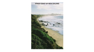 OTAGO COAST OF NEW ZEALAND
 