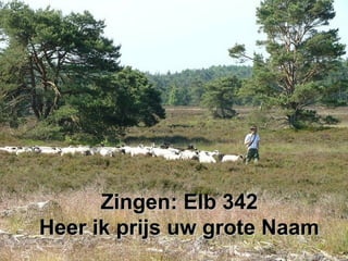 Zingen: Elb 342Zingen: Elb 342
Heer ik prijs uw grote NaamHeer ik prijs uw grote Naam
 