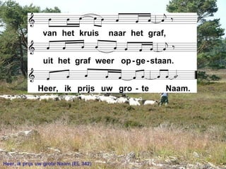 Heer, ik prijs uw grote Naam (EL 342)
 
