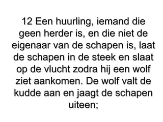 12 Een huurling, iemand die12 Een huurling, iemand die
geen herder is, en die niet de​ ​geen herder is, en die niet de​ ​
eigenaar van de schapen is, laateigenaar van de schapen is, laat
de schapen in de steek en slaatde schapen in de steek en slaat
op de vlucht zodra hij een wolfop de vlucht zodra hij een wolf
ziet aankomen. De wolf valt deziet aankomen. De wolf valt de
kudde aan en jaagt de schapenkudde aan en jaagt de schapen
uiteen;uiteen;
 