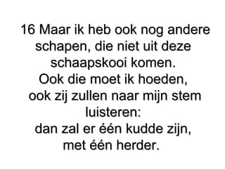 16 Maar ik heb ook nog andere16 Maar ik heb ook nog andere
schapen, die niet uit deze ​schapen, die niet uit deze ​
schaapskooi komen.​schaapskooi komen.​
Ook die moet ik hoeden,Ook die moet ik hoeden,
ook zij zullen naar mijn stemook zij zullen naar mijn stem
luisteren:luisteren:
dan zal er één kudde zijn,dan zal er één kudde zijn,
met één herder.​met één herder.​
 