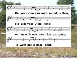 Heer, U doorgrondt en kent mij (Opw 518) t. & m. M. Zimmer
 