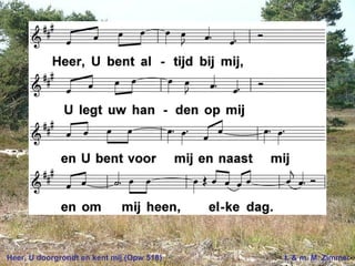 Heer, U doorgrondt en kent mij (Opw 518) t. & m. M. Zimmer
 